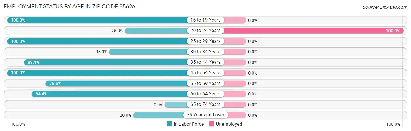 Employment Status by Age in Zip Code 85626