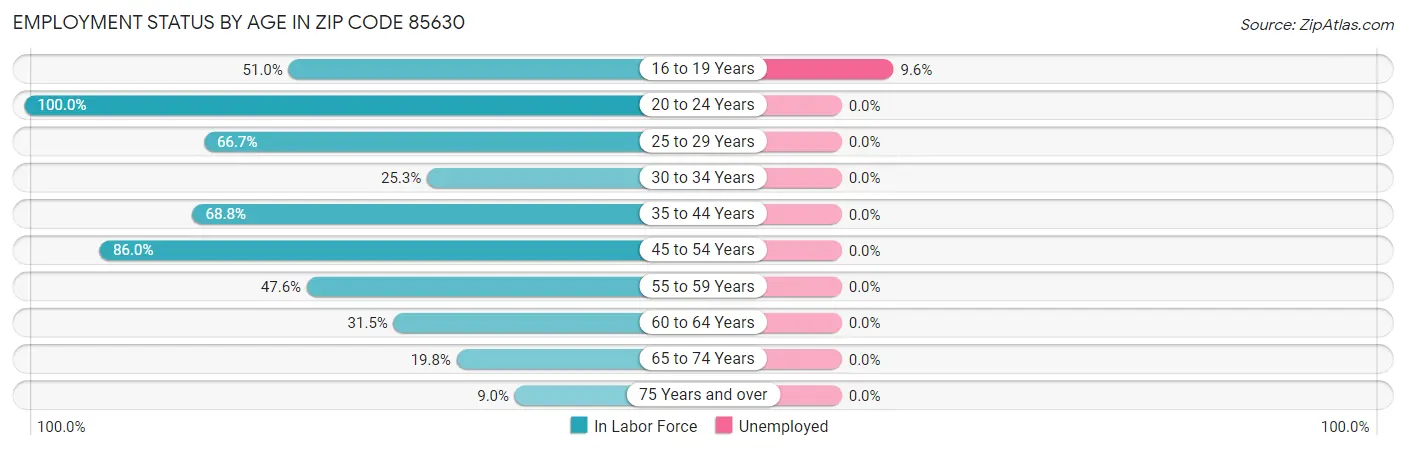 Employment Status by Age in Zip Code 85630