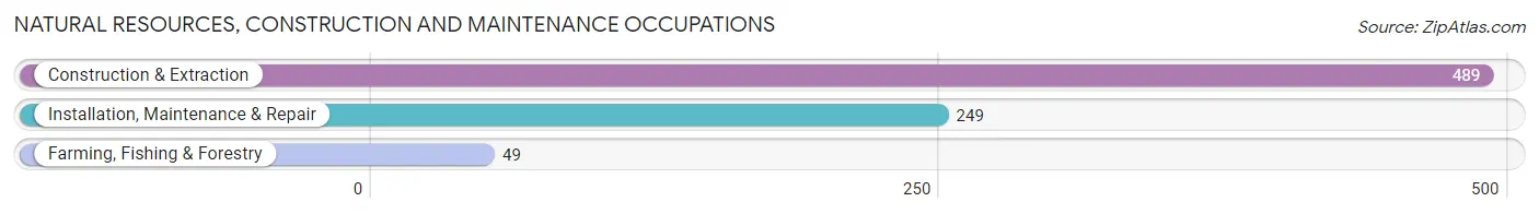 Natural Resources, Construction and Maintenance Occupations in Zip Code 85653