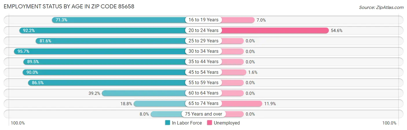 Employment Status by Age in Zip Code 85658