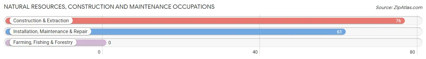 Natural Resources, Construction and Maintenance Occupations in Zip Code 85701