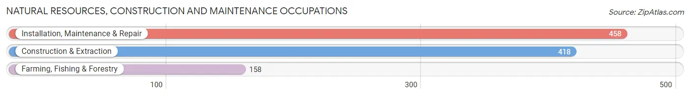 Natural Resources, Construction and Maintenance Occupations in Zip Code 85743