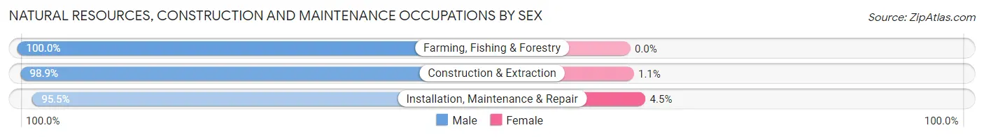 Natural Resources, Construction and Maintenance Occupations by Sex in Zip Code 85746