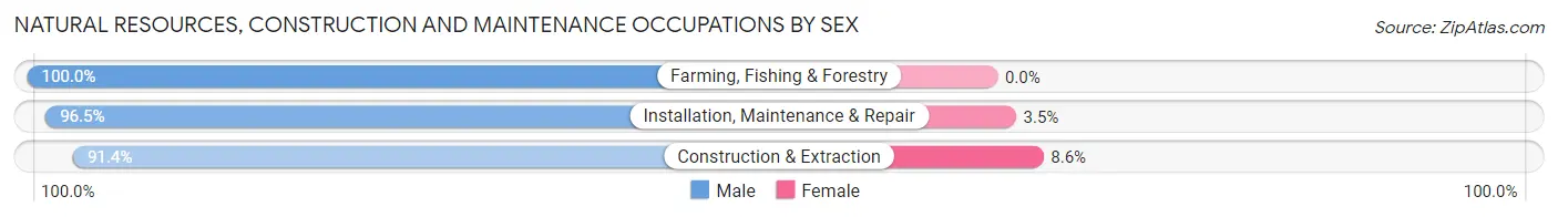Natural Resources, Construction and Maintenance Occupations by Sex in Zip Code 85749