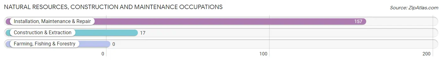 Natural Resources, Construction and Maintenance Occupations in Zip Code 85755