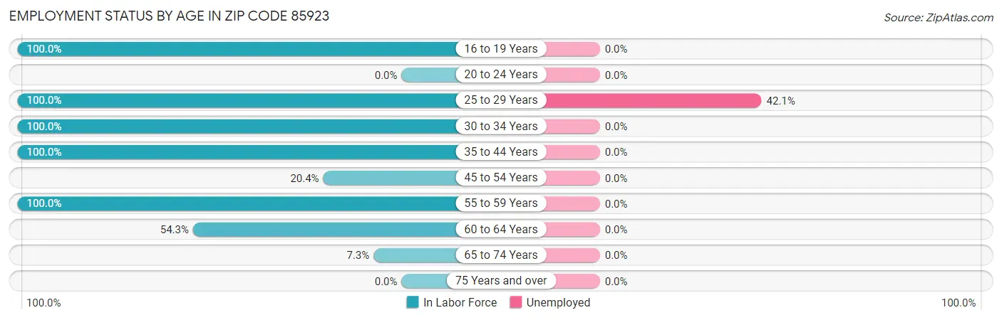 Employment Status by Age in Zip Code 85923