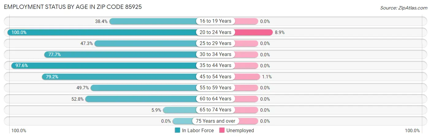 Employment Status by Age in Zip Code 85925