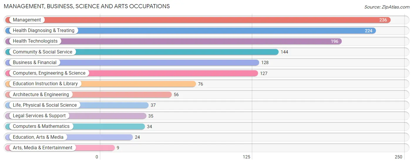 Management, Business, Science and Arts Occupations in Zip Code 85929