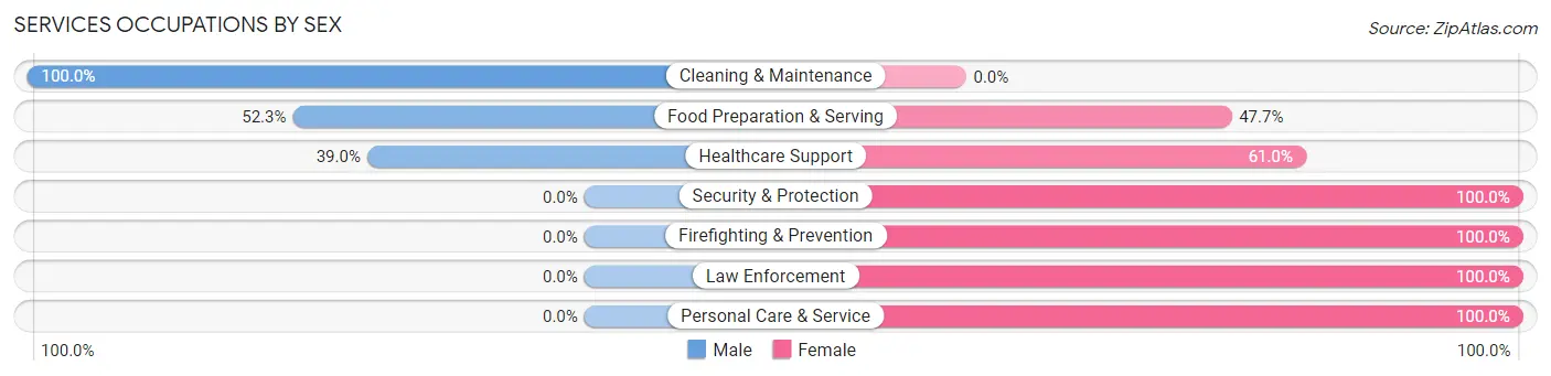 Services Occupations by Sex in Zip Code 85933