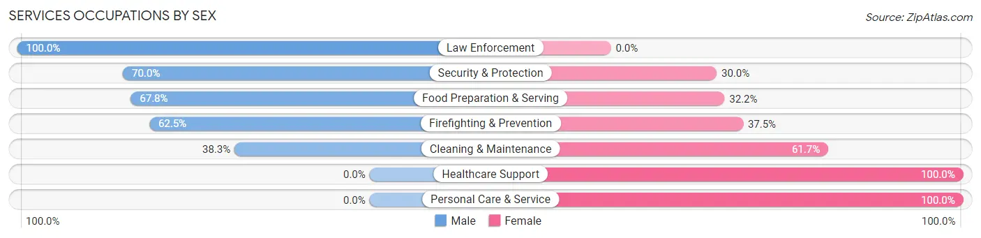 Services Occupations by Sex in Zip Code 85935