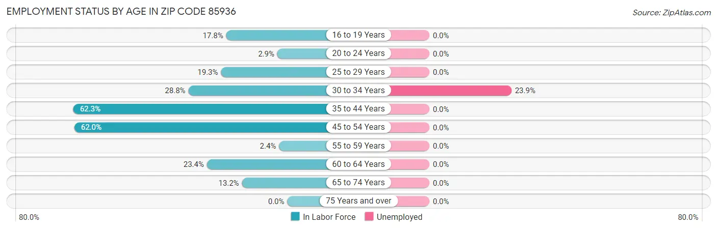 Employment Status by Age in Zip Code 85936