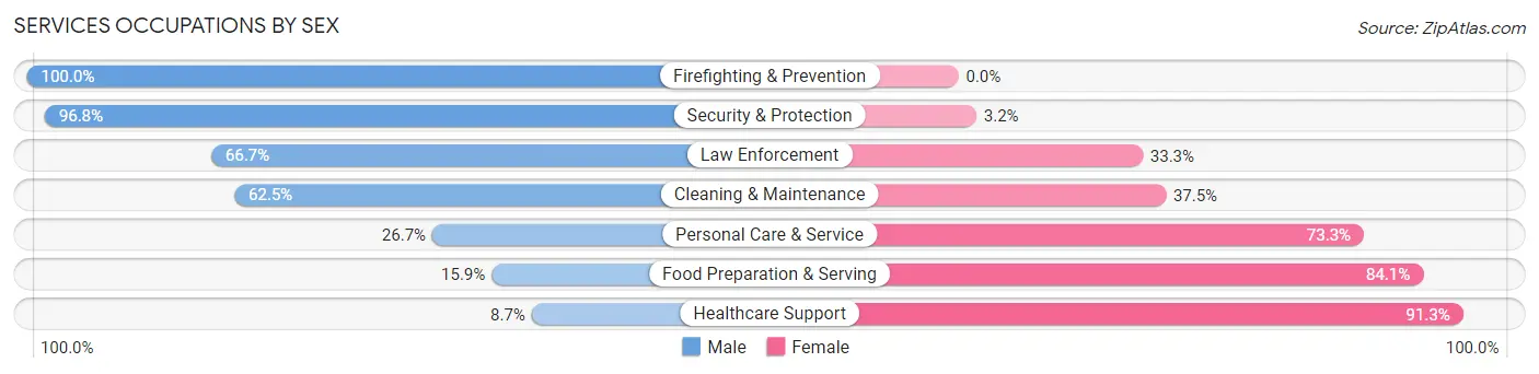 Services Occupations by Sex in Zip Code 85938