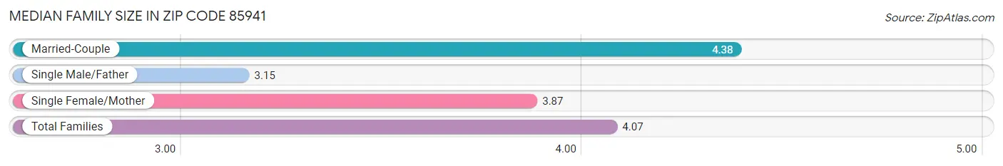 Median Family Size in Zip Code 85941