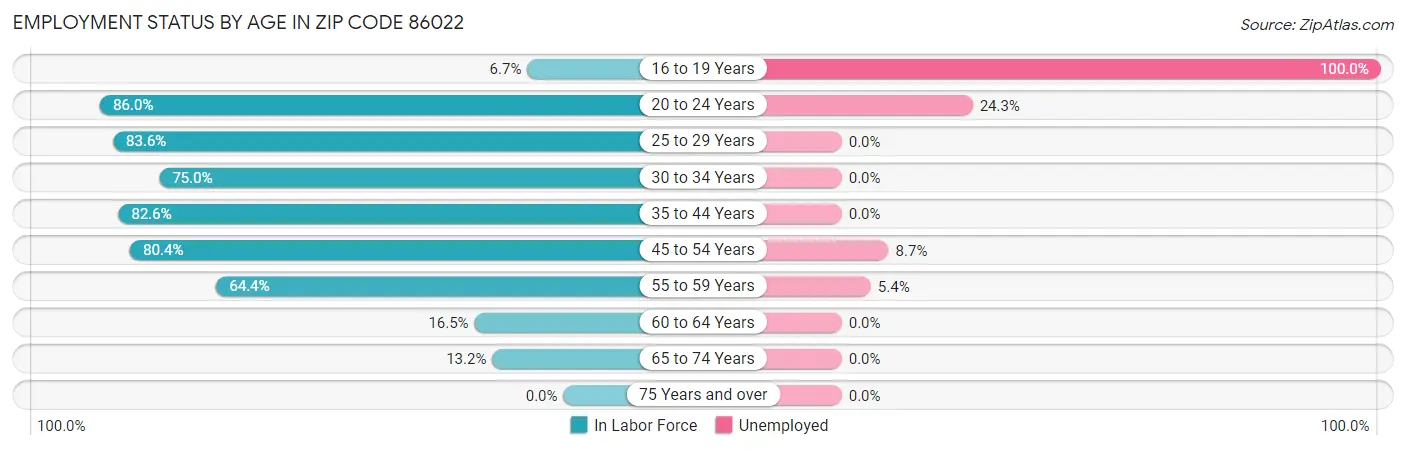 Employment Status by Age in Zip Code 86022