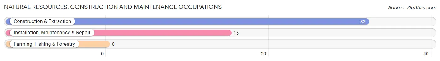 Natural Resources, Construction and Maintenance Occupations in Zip Code 86043