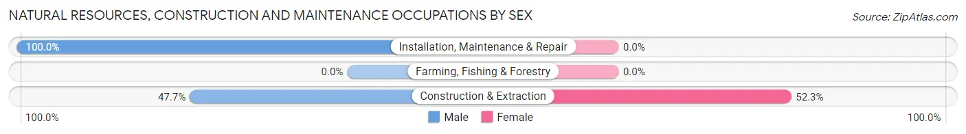 Natural Resources, Construction and Maintenance Occupations by Sex in Zip Code 86315