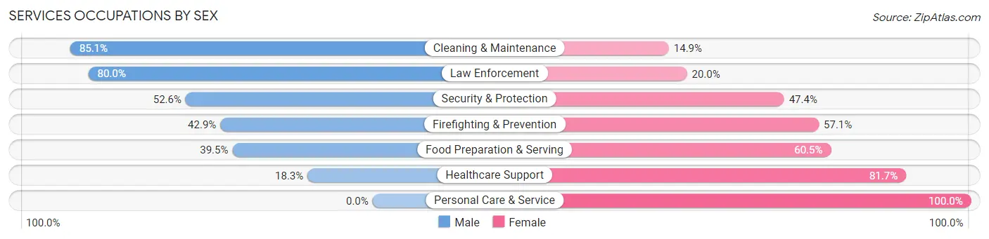 Services Occupations by Sex in Zip Code 86504