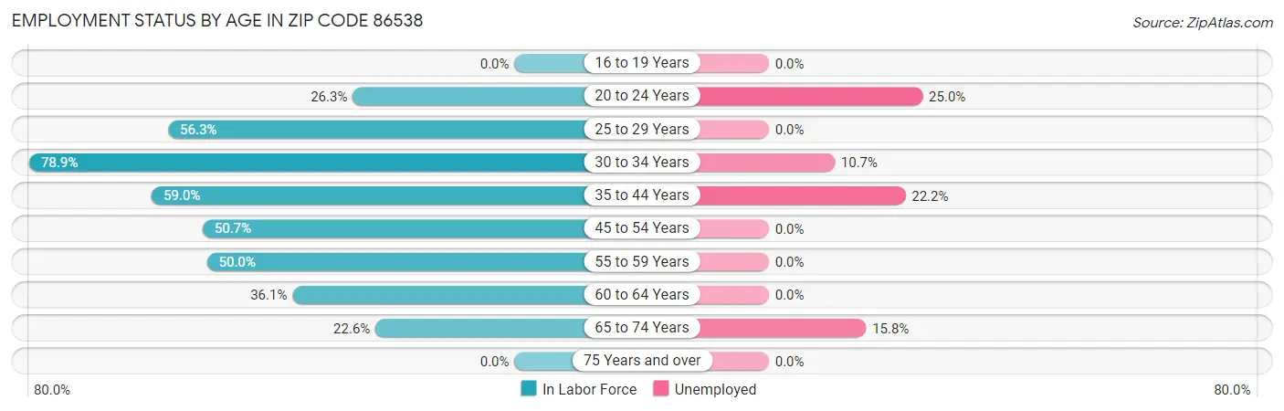 Employment Status by Age in Zip Code 86538