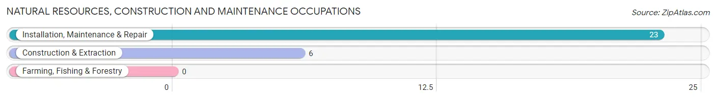 Natural Resources, Construction and Maintenance Occupations in Zip Code 86540