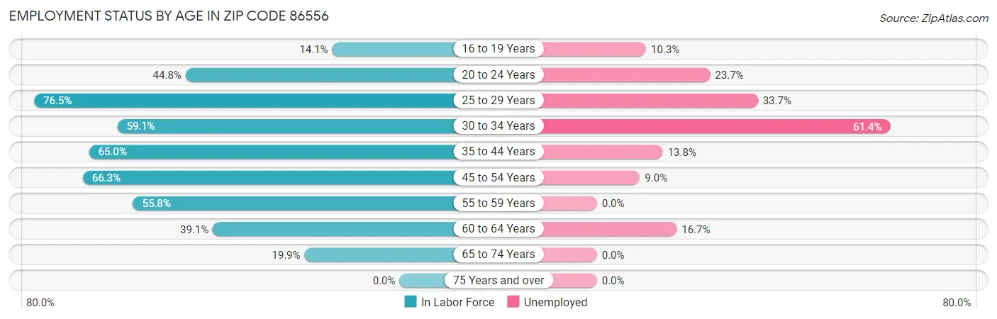 Employment Status by Age in Zip Code 86556