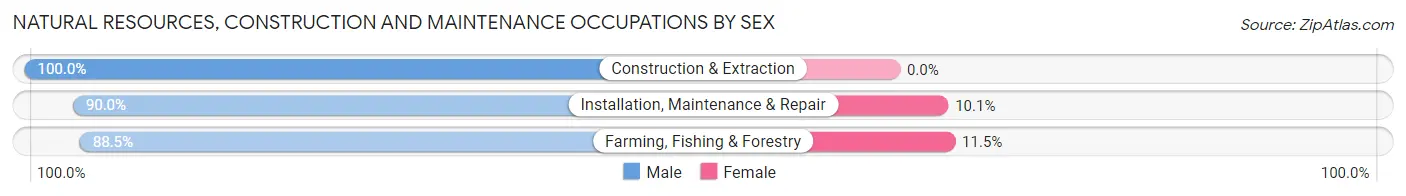 Natural Resources, Construction and Maintenance Occupations by Sex in Zip Code 87002