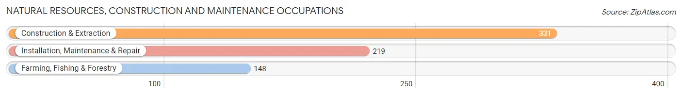 Natural Resources, Construction and Maintenance Occupations in Zip Code 87002