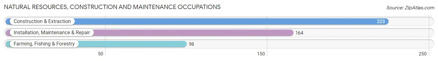 Natural Resources, Construction and Maintenance Occupations in Zip Code 87020