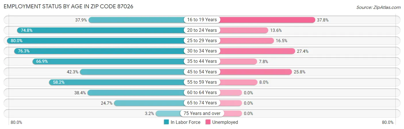Employment Status by Age in Zip Code 87026