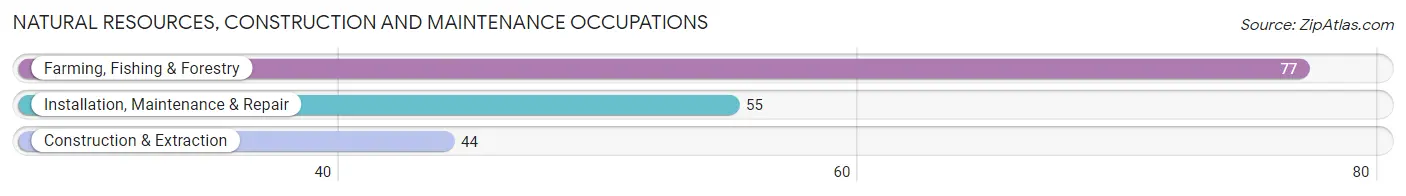 Natural Resources, Construction and Maintenance Occupations in Zip Code 87042