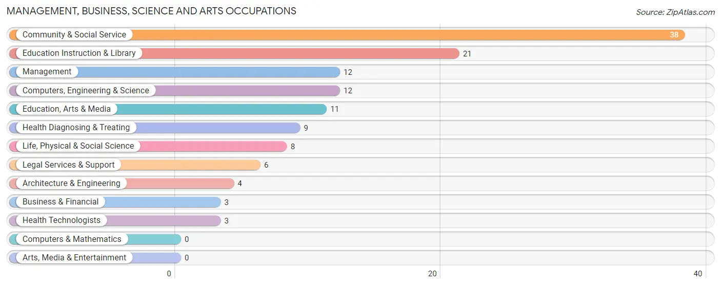 Management, Business, Science and Arts Occupations in Zip Code 87045