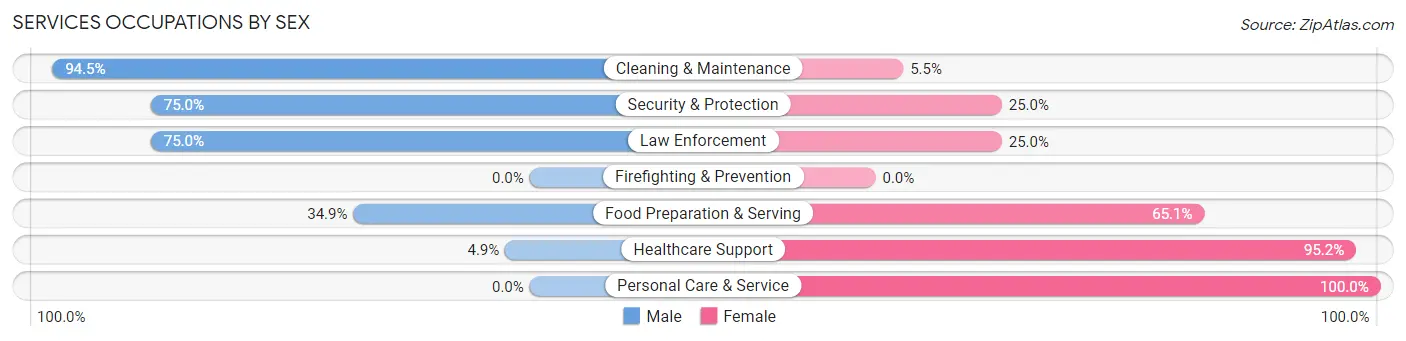 Services Occupations by Sex in Zip Code 87048
