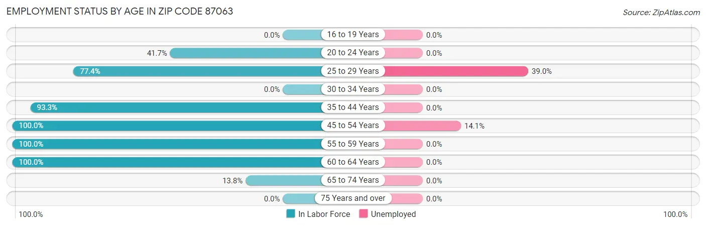 Employment Status by Age in Zip Code 87063
