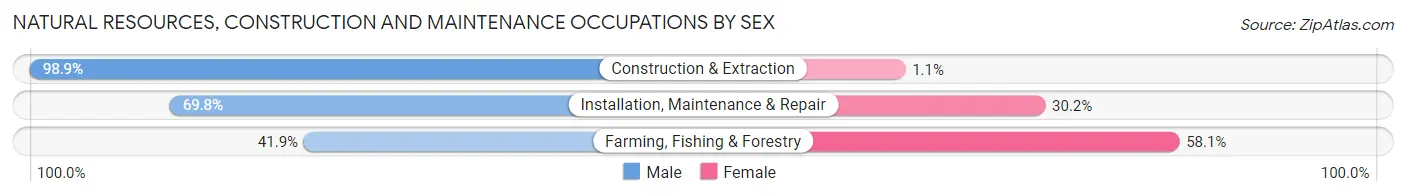 Natural Resources, Construction and Maintenance Occupations by Sex in Zip Code 87109