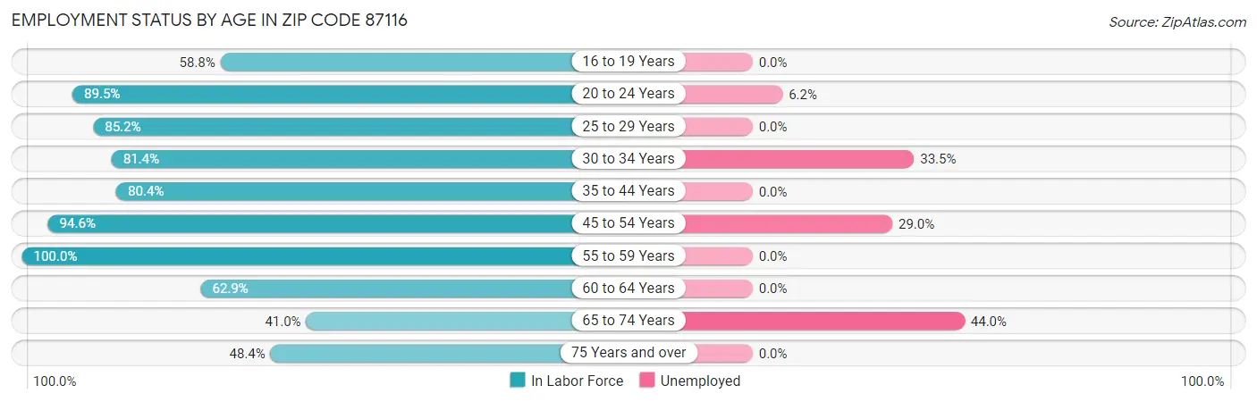 Employment Status by Age in Zip Code 87116