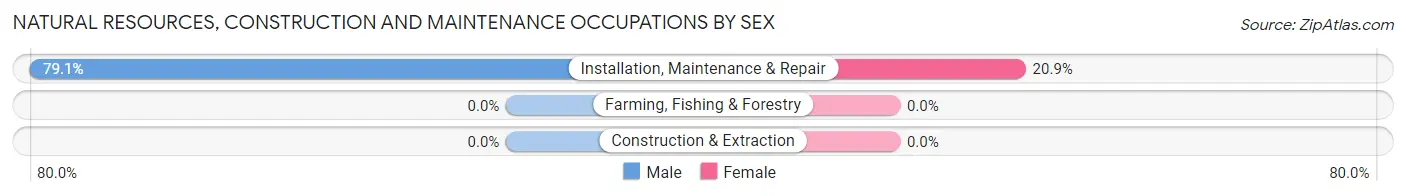 Natural Resources, Construction and Maintenance Occupations by Sex in Zip Code 87116
