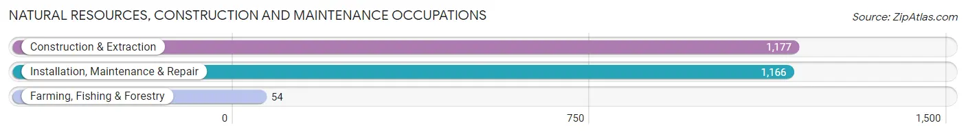 Natural Resources, Construction and Maintenance Occupations in Zip Code 87144