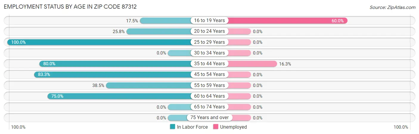 Employment Status by Age in Zip Code 87312