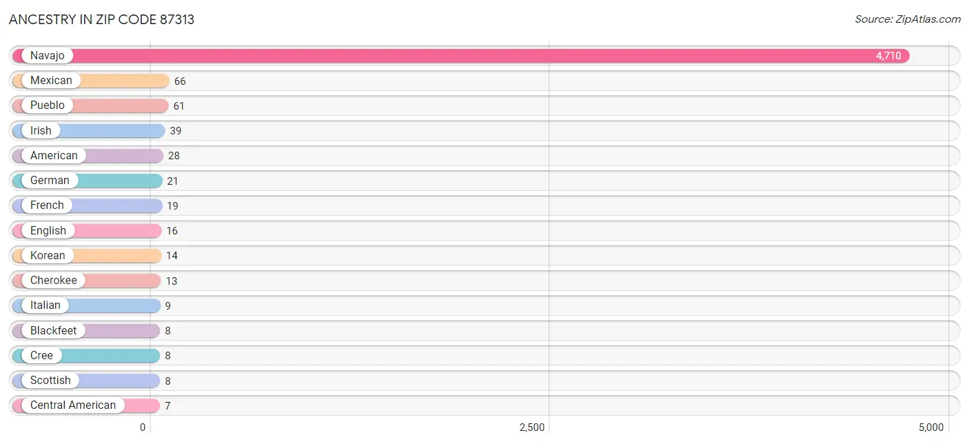 Ancestry in Zip Code 87313