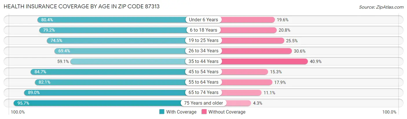 Health Insurance Coverage by Age in Zip Code 87313