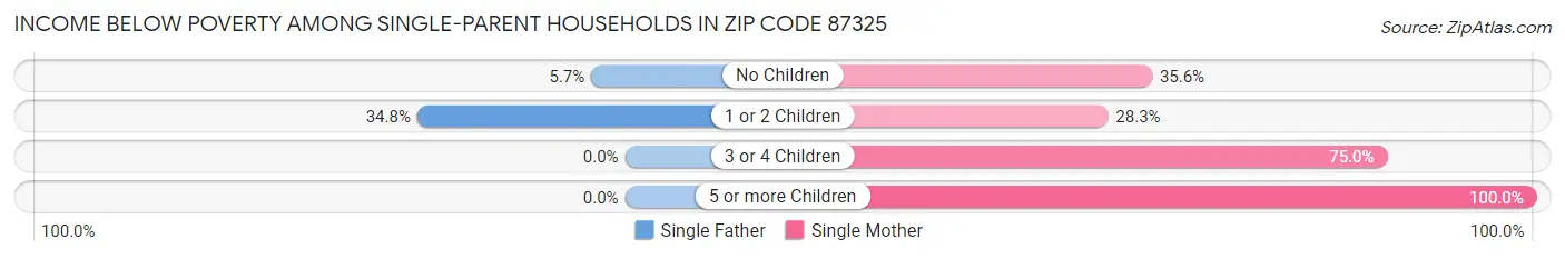 Income Below Poverty Among Single-Parent Households in Zip Code 87325