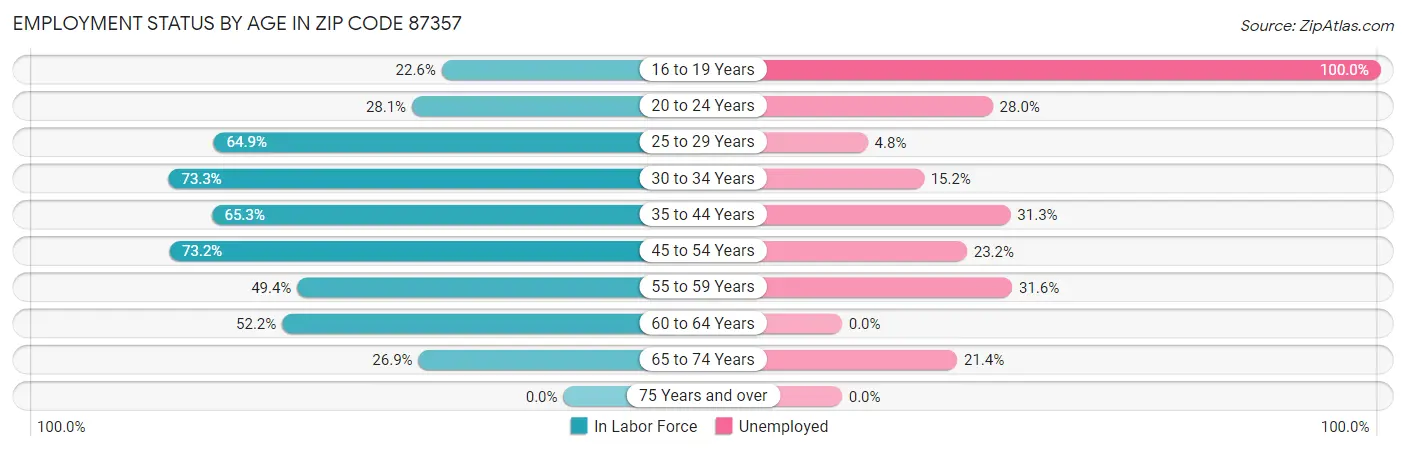 Employment Status by Age in Zip Code 87357