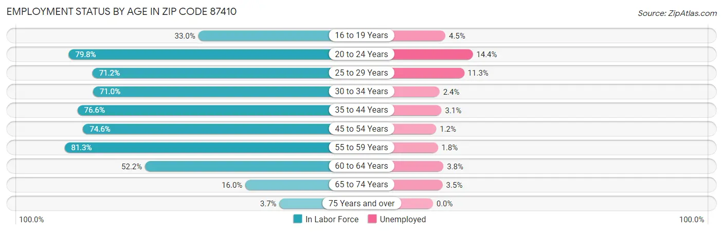 Employment Status by Age in Zip Code 87410