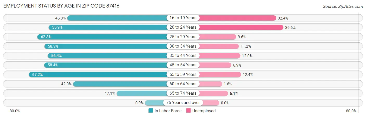 Employment Status by Age in Zip Code 87416