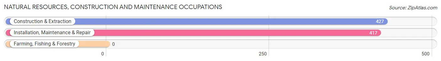 Natural Resources, Construction and Maintenance Occupations in Zip Code 87505