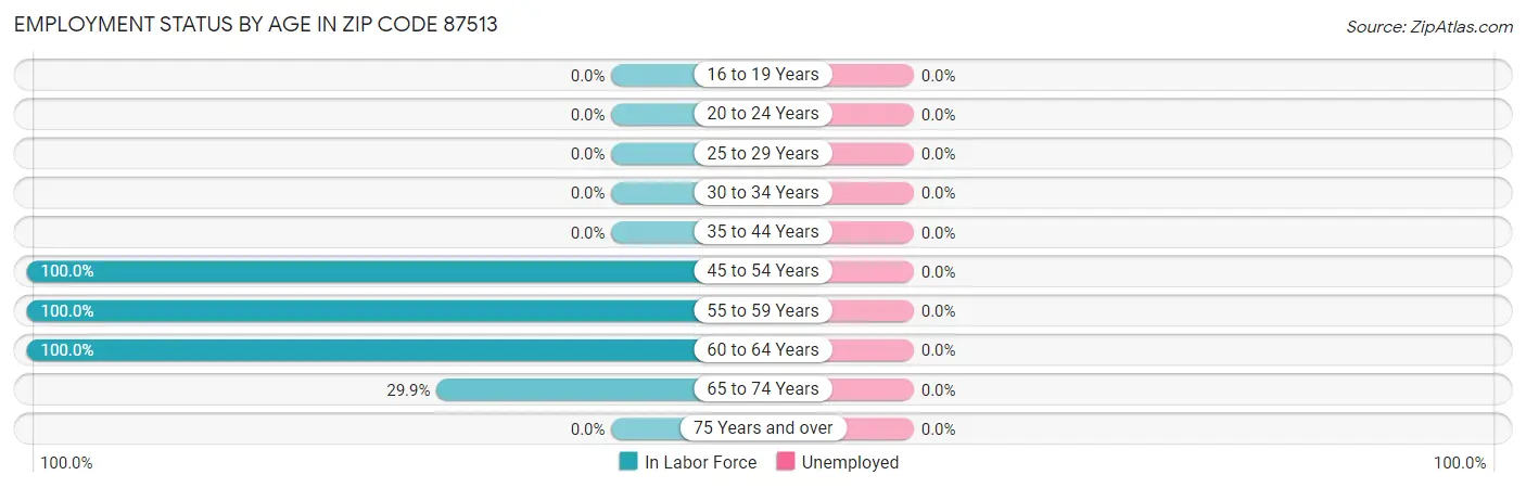 Employment Status by Age in Zip Code 87513