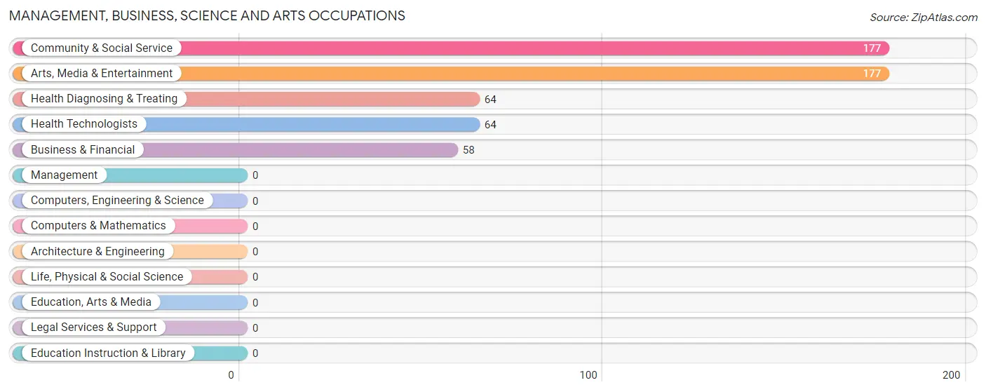 Management, Business, Science and Arts Occupations in Zip Code 87513