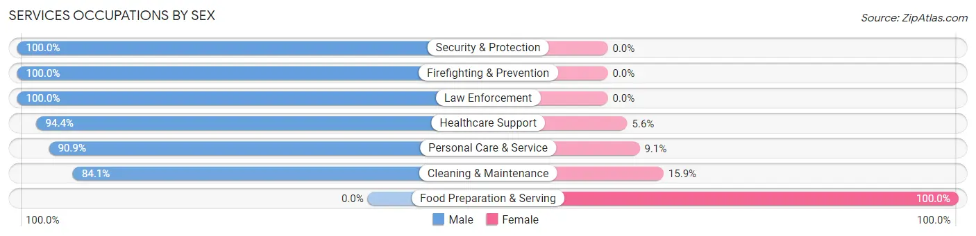 Services Occupations by Sex in Zip Code 87528