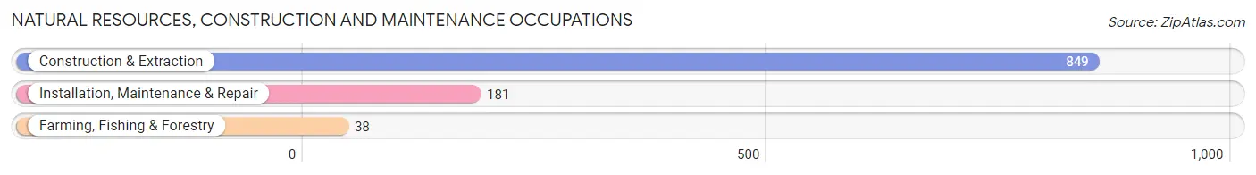 Natural Resources, Construction and Maintenance Occupations in Zip Code 87532