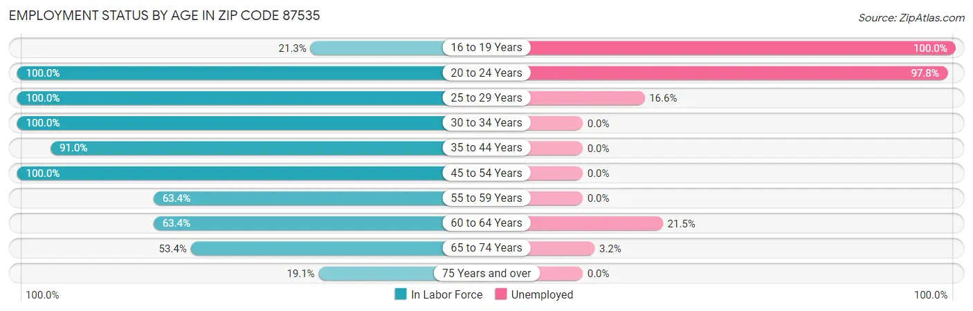 Employment Status by Age in Zip Code 87535
