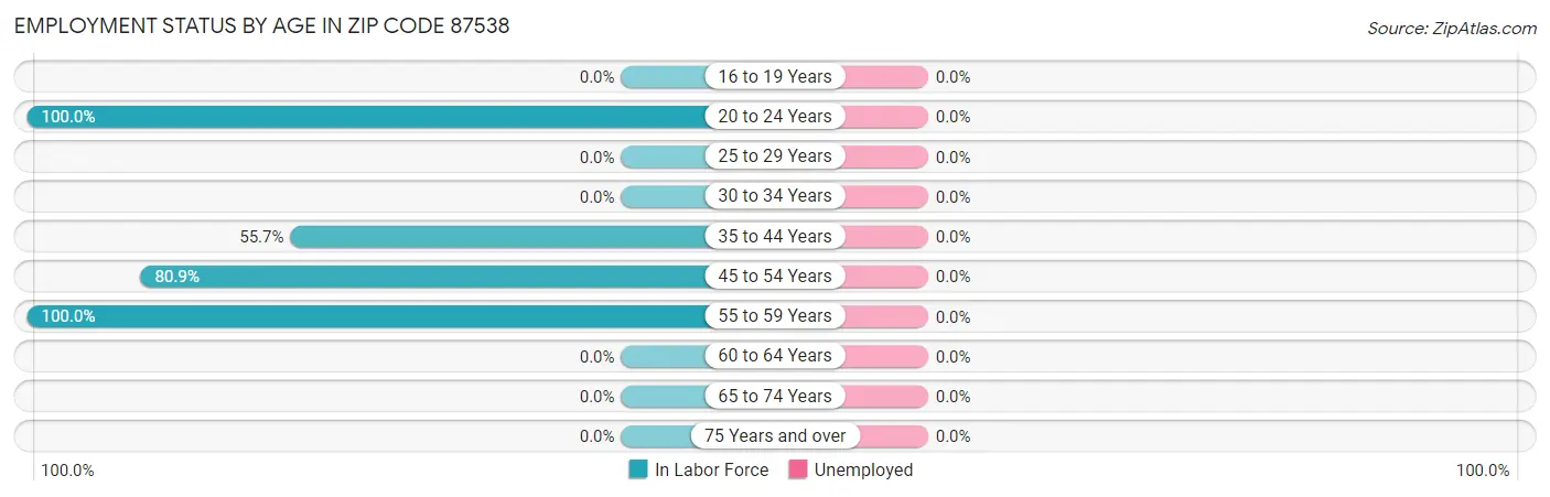 Employment Status by Age in Zip Code 87538